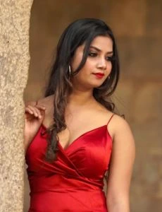 call girl service in Seethanagaram